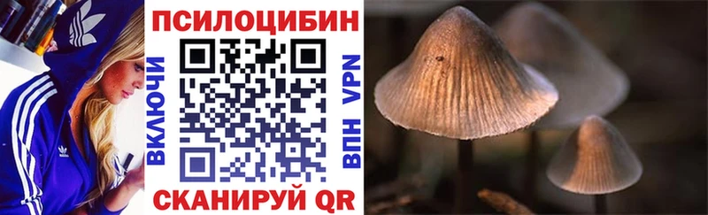 Купить закладки  Купино  Псилоцибиновые грибы прущие грибы 